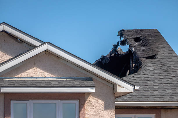 Top rated local Firefighting Water Removal specialists in Westville, NJ